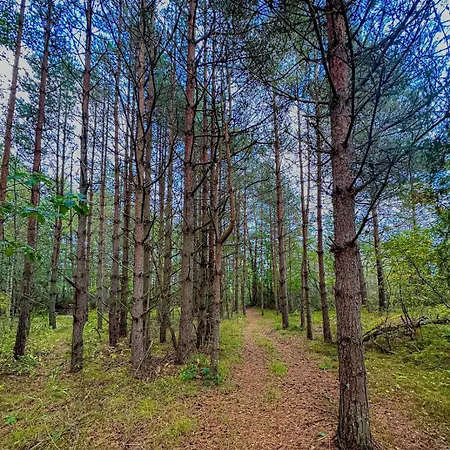 Architectural Gem Between Risor And Kragero 度假居 Nistesvåg