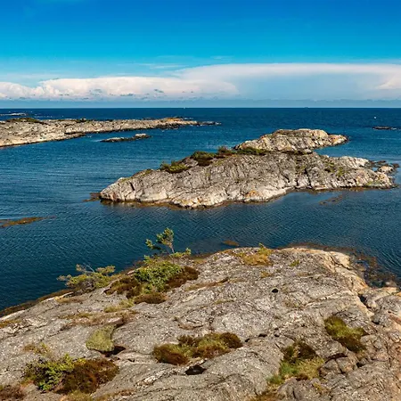 度假居 Architectural Gem Between Risor And Kragero Nistesvåg