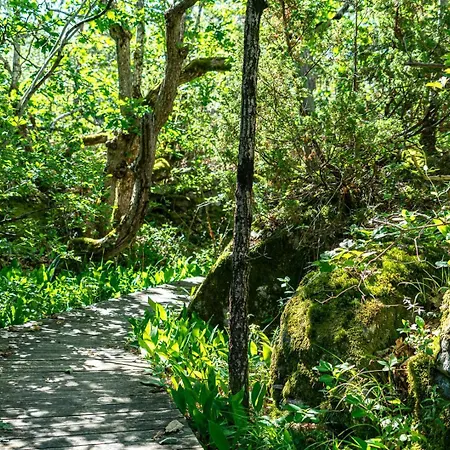 度假居 Architectural Gem Between Risor And Kragero Nistesvåg