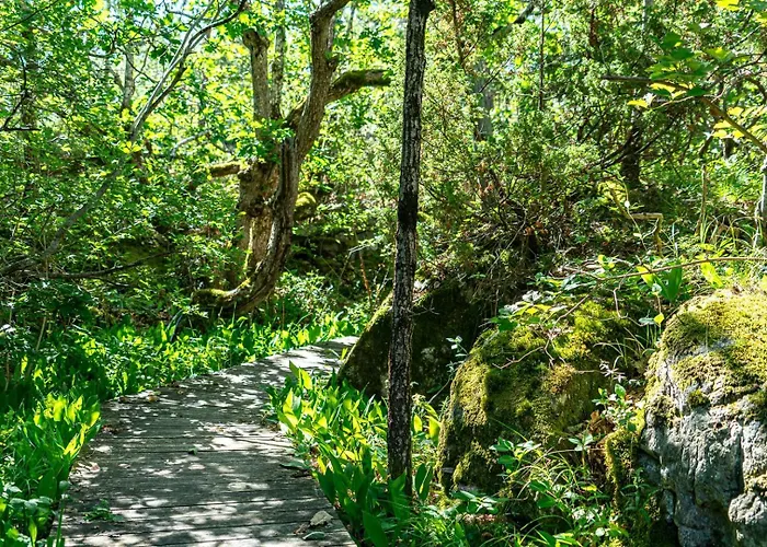 Feriehus Architectural Gem Between Risor And Kragero Sondeled